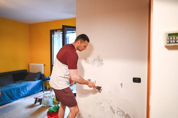 Best Mold Remediation Experts  in New Beaver, PA